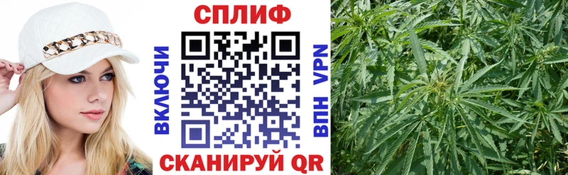 Каннабис гибрид  Катайск 